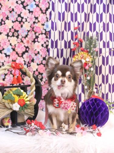 20250130ルアちゃん